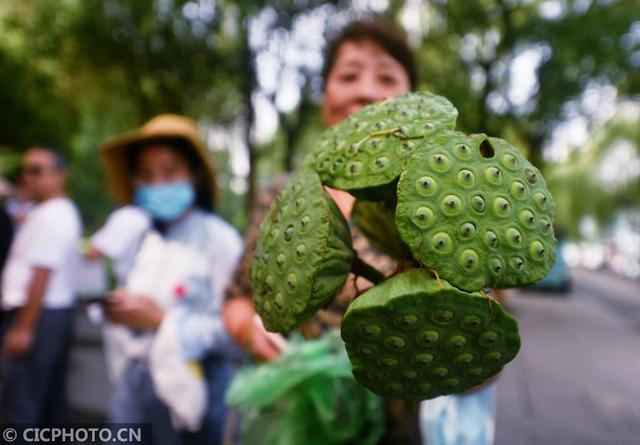 杭州西湖荷叶莲蓬开卖 市民游客排队抢购第6张-无忧岛网