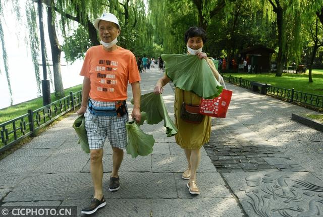 杭州西湖荷叶莲蓬开卖 市民游客排队抢购 网文选读 第8张