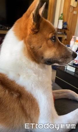 手手要来了！米克斯忍不住笑意嘴角上扬　停止