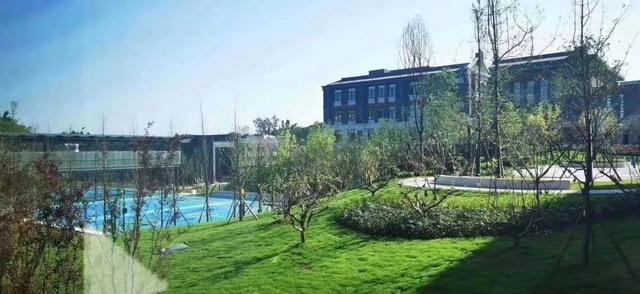 王书语全省理科最高投档分志在清华——泸州天立中高考高位跃升，一体化领航川南