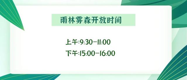 也太美了！厦门这四个夏日避暑清凉好去处，如迷雾仙境，快来感受这份凉意 ！