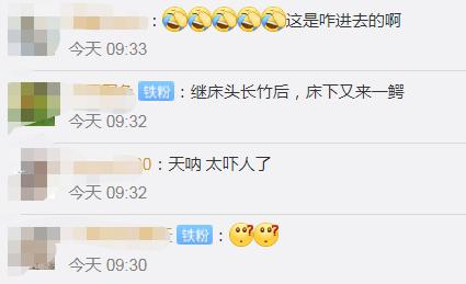 突现|家中床下突现1米多长鳄鱼 与动物园工作人员恶斗后被捕