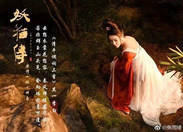 做女团太难了！宁静的乘风破浪打脸记
