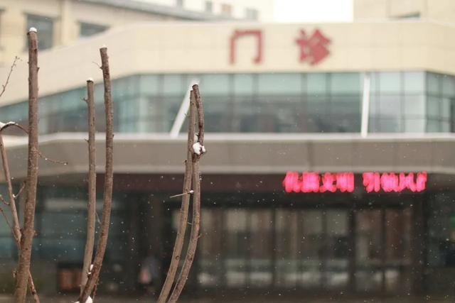 中医药为全球战疫添动能