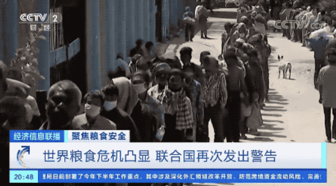 世界瀕臨嚴重糧食危機 中國老百姓的“米袋子”會受影響嗎？