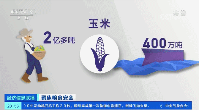 世界瀕臨嚴重糧食危機 中國老百姓的“米袋子”會受影響嗎？