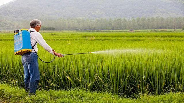 农药使用出现的11种用药误区