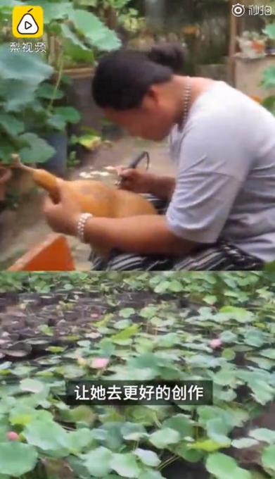 女友|小伙三年为女友种出半亩荷塘 网友：浪漫这才是塘主