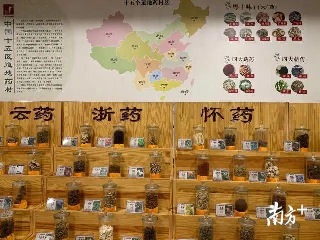 广州越秀：建设中医药强区，底气何在？