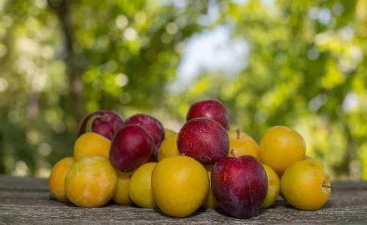 图片[7]-榴莲、山竹、火龙果&quot;英文的内涵是什么？-笑傲英语网