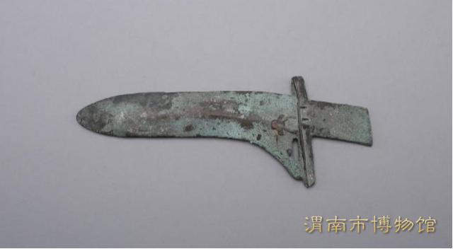 「每日瑰宝」青铜牛首纹戈