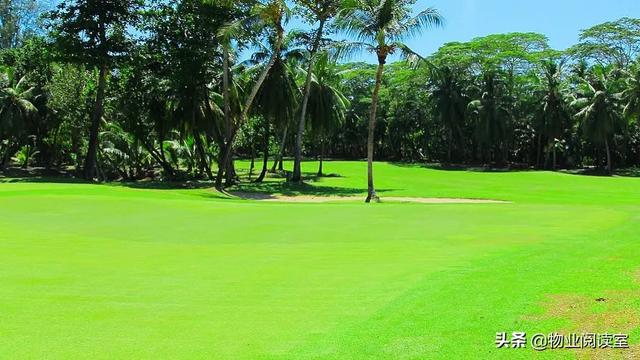 春季绿化养护解决方案