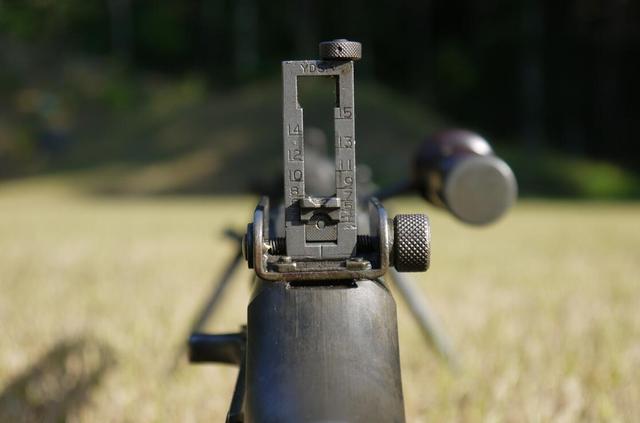 盘点世上排行前四步枪：第1被称为世界枪王，第3和它有很大关系