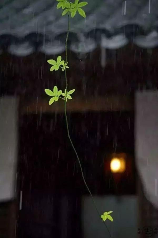 八月|七月，再见！八月，你好！祝你岁月无波澜，敬我余生不悲欢