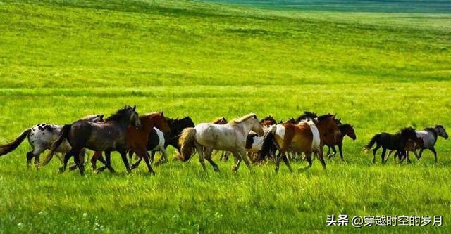 张作霖拿着军费不出兵，眼睁睁看着外蒙古独立