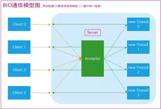 bio代表什么意思(bio在社交什么意思)