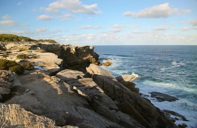 来了！4万多头座头鲸浩浩荡荡逼近悉尼港！气势