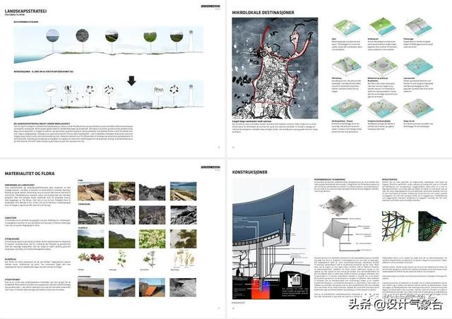 BIG惜败！再牛的方案也比不过一头鲸