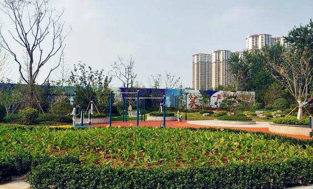 菏澤這里將建體育館、籃球公園！城區又一公園即將開放