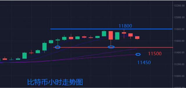 苏苏：（8.6）比特币行情分析与操作建议