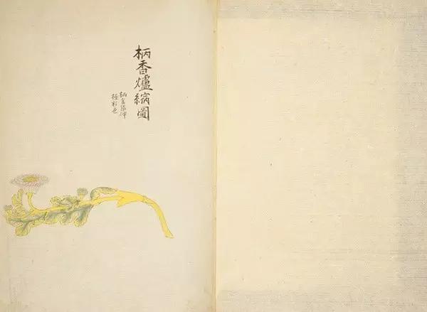 ���ܸ���������ġ�����ͼ�ס�