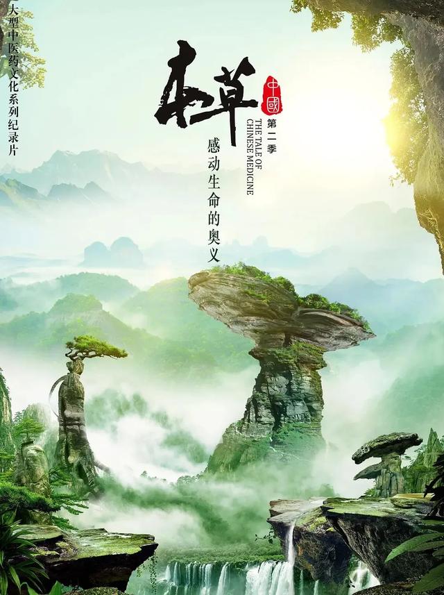 弘扬中医药文化 助力健康中国-山东有线享TV精彩纪录片引领我们走进中医药，选择相信并使用中医药！