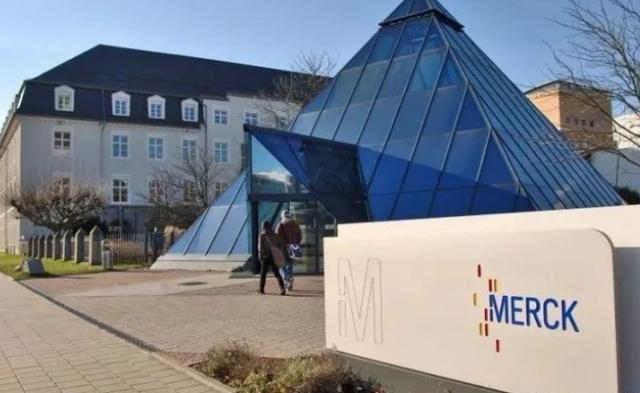 对美国的恨，多是源于无知和愚蠢