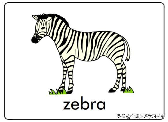 图片[18]-113张图让你记住所有动物类英语单词，分类汇总，建议收藏起来-笑傲英语网