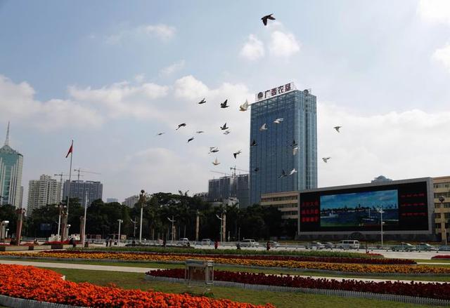 糖先森品牌造势，助力广西“甜蜜”事业