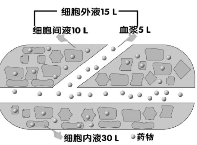 PK/PD能帮您什么忙？抗菌药物的临床应用