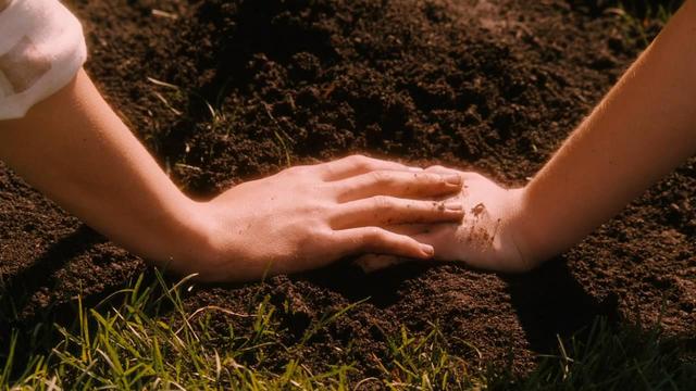 斯人若彩虹，遇上方知有 |《怦然心动》中纯粹而