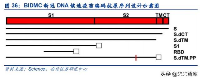 新冠疫苗专题报告：未来市场空间广阔，多技术路径百家争鸣