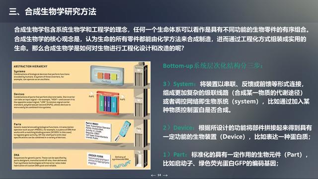 未来生物科技技术：合成生物学概述及应用