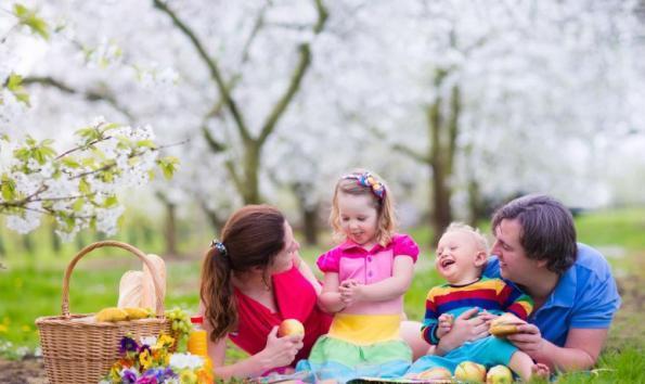 “家庭收入等级表”出炉，5级以上要二胎压力更