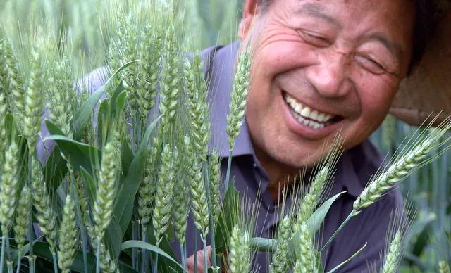 进口粮食数量不断增多，农民担心的事情还是发