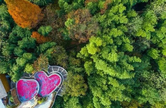 2天嗨够6种玩法，泡温泉、看萤火虫、坐小火车，