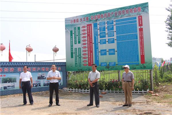 遂平革命老区行之三：发展特色产业脱贫攻坚全覆盖 改善基础设施乡村振兴树形象