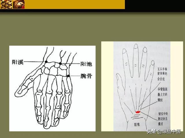 经络穴位拍打手法