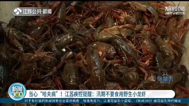 当心“哈夫病”！江苏疾控提醒：汛期不要吃野生小龙虾