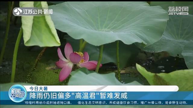 『大暑节气』江苏近期降雨仍旧偏多 高温暂时难发威 大暑节气