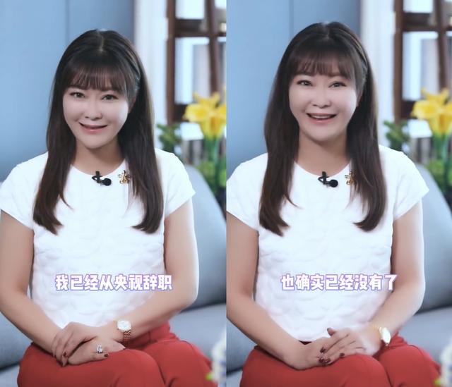 央视名嘴离职做网红？王小骞发福难认，丁克15年41岁高龄意外怀孕