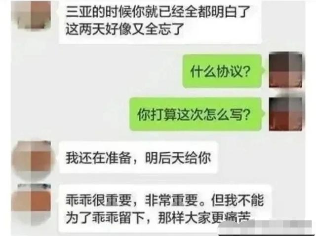 总裁夫人输了？张大奕赢了？蒋凡会怎么选择？