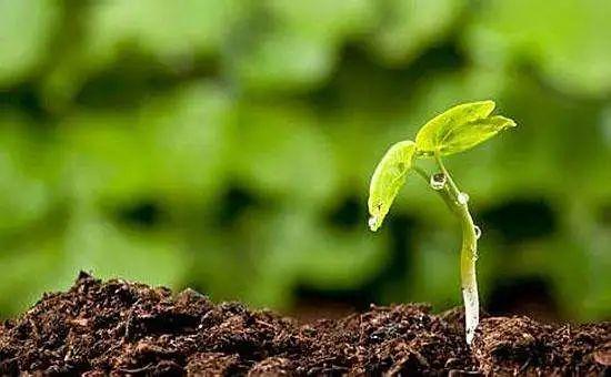 土壤修复产业：万亿级市场规模，市场未被垄断