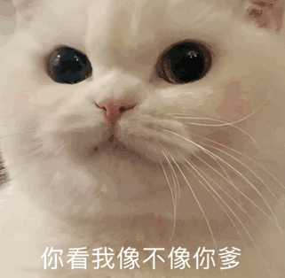 7.24 | 表情包来啦