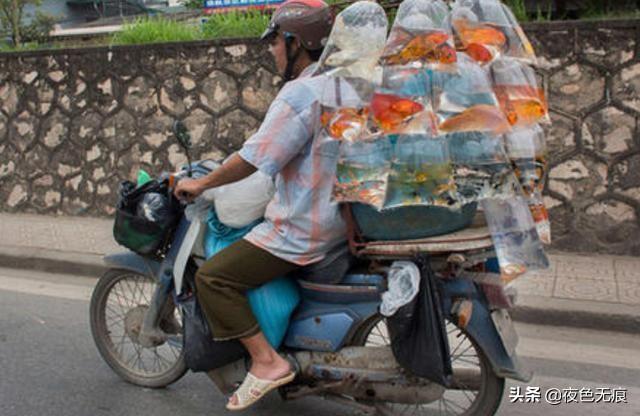 井底之蛙！越南人自豪：越南制造业远超中国，