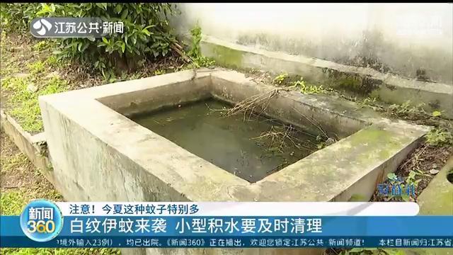 梅雨季有些长，今夏&ldquo;花蚊子&rdquo;特别多 小型积水要及时清理