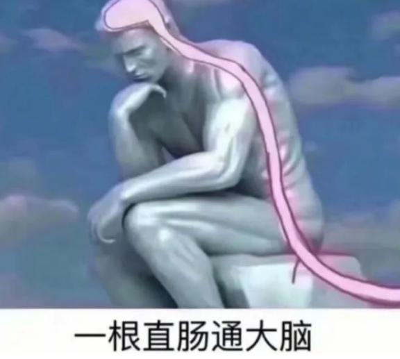 有时间练肚子，没时间练脑子？十条马甲线也救