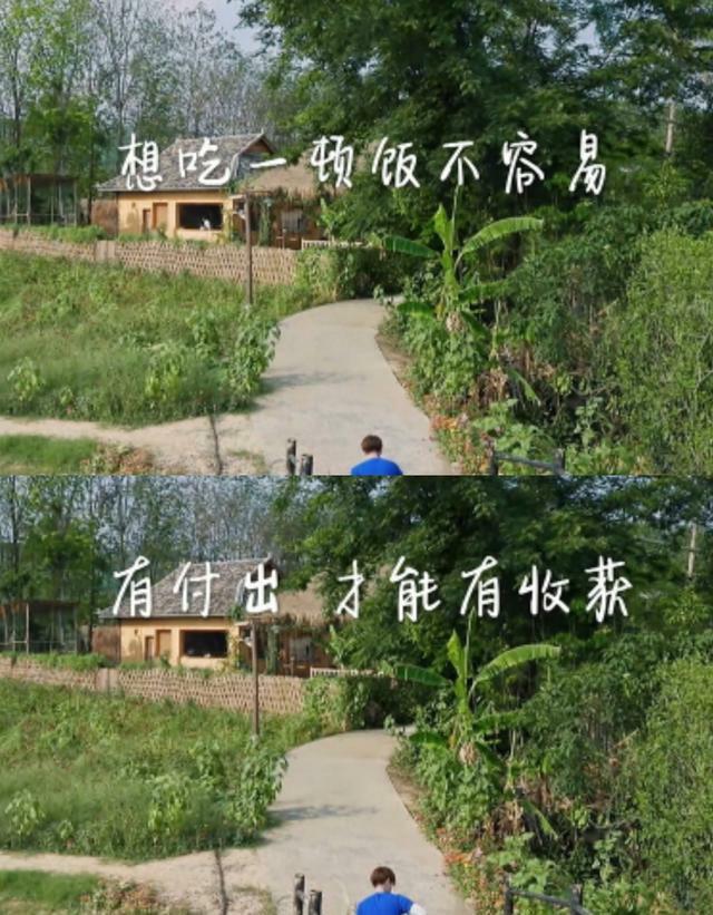 任嘉伦参加《向往的生活》，收获了什么？看他动态可知