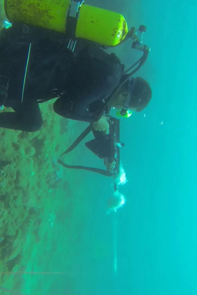 海军陆战队夏日清凉大片来了