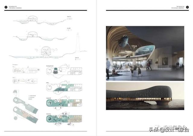 BIG惜败！再牛的方案也比不过一头鲸